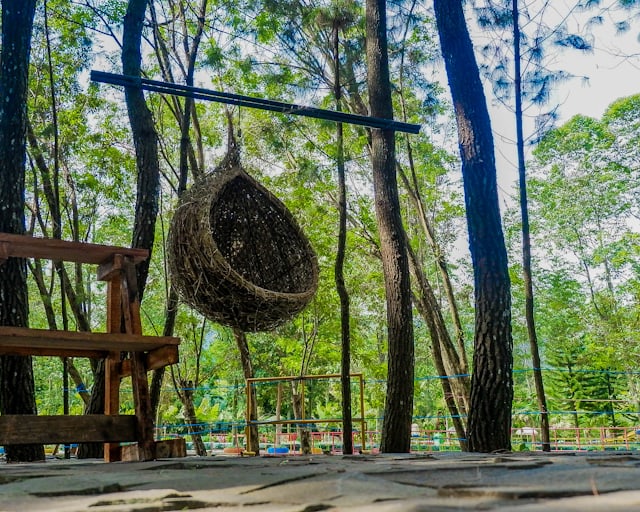 Egg Hanging Chair